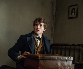 Une scène du film Fantastic Beasts and Where to Find Them
