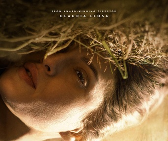 Affiche du film Fever Dream