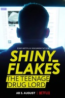 Affiche du film Shiny_Flakes: le petit baron de l'internet caché