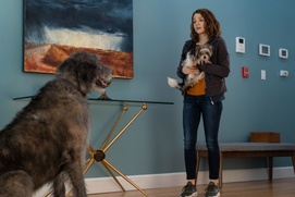 Une scène du film A Dog's Journey