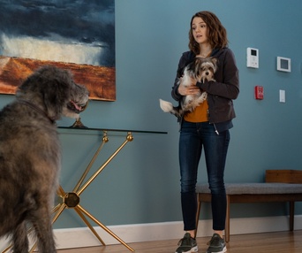Une scène du film A Dog's Journey