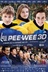 Affiche du film Les Pee-Wee : L'hiver qui a changé ma vie