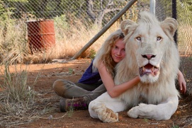 Une scène du film Mia et le lion blanc Une scène du film Mia et le lion blanc