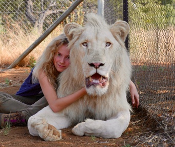 Une scène du film Mia et le lion blanc