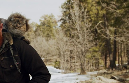 Bande-annonce en anglais
