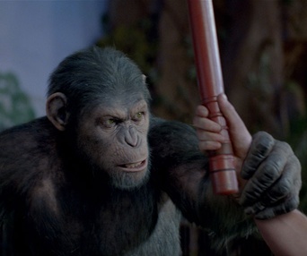 Une scène du film Rise of the Planet of the Apes