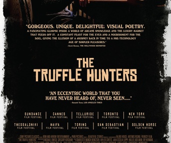 Affiche du film The Truffle Hunters