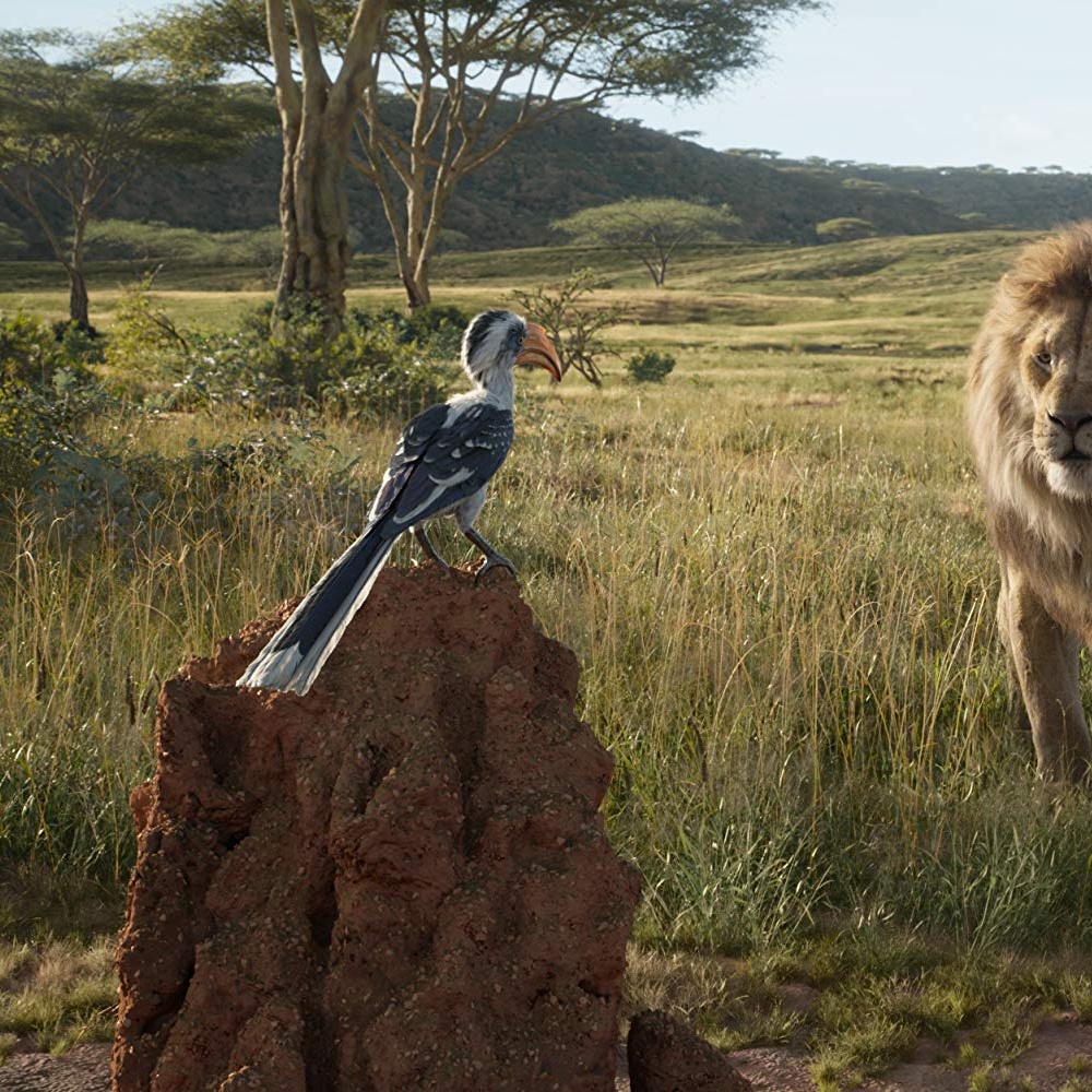 Une scène du film The Lion King