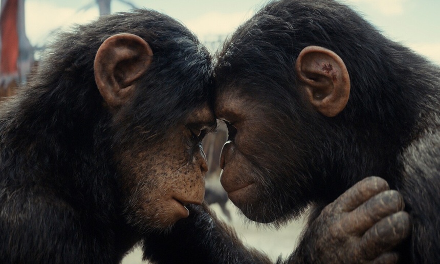 Nouveautés en salles : Le royaume de la planète des singes