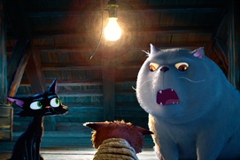 Images du film Gatto