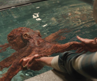 Images du film Remarkably Bright Creatures