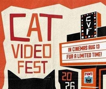 Affiche du film CatVideoFest 2026