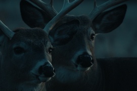 Image du film Murmures Image du film Murmures