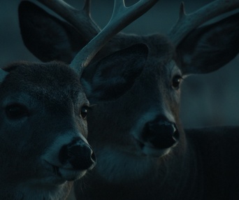 Image du film Murmures