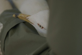 Image du film Les héritiers