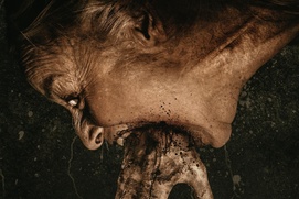 Image du film Bury the Devil