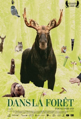 Dans la forêt