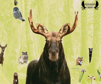 Image du film Dans la forêt