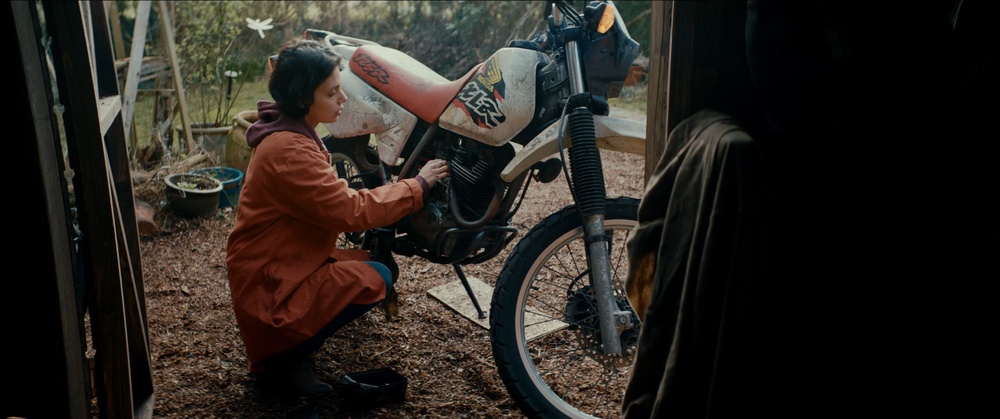 Image du film Cap Farewell