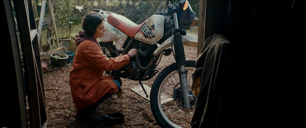 Image du film Cap Farewell