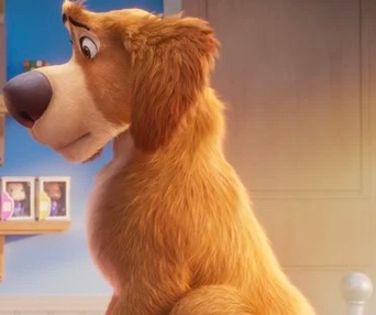Images du film Charlie the Wonderdog