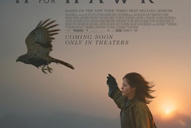 Image du film H is Hawk