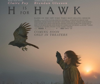 Image du film H is Hawk